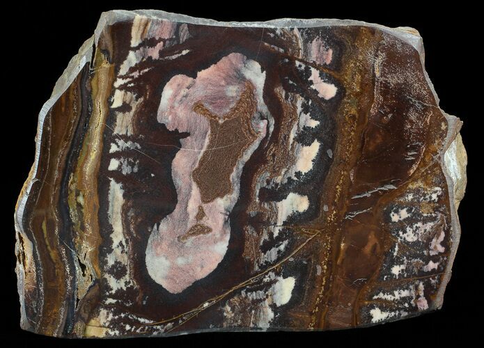 Polished Outback Jasper - Paynes Find, Western Australia #65667